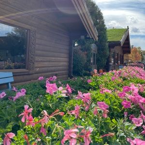 Meet your Posher, Ruzica